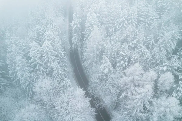 Winter Road Forest Drone View — Foto Stock