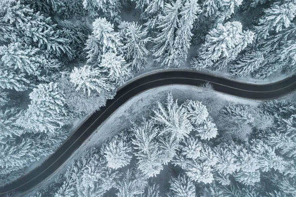 Curvy Winding Winter Road Forest — Φωτογραφία Αρχείου