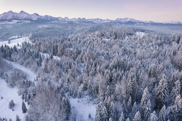 Aerial Dorne Panoramic View Tatra Mountains Winter — Zdjęcie stockowe