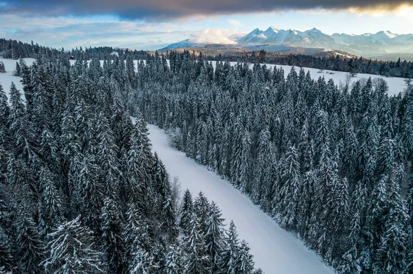 Tatra National Park Snowy Winter Landscape Drone — Zdjęcie stockowe