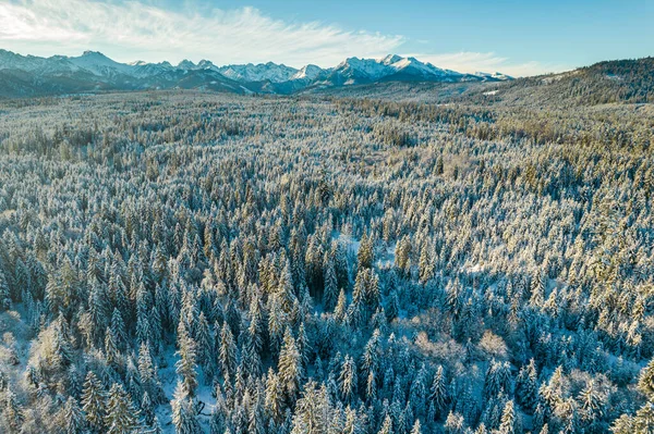 Tatras Mountains Winter Coat Aerail Drone View — 스톡 사진