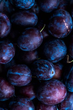 Plum Fruits Background. Purple Plums OrganicAutumn  Season Crop.