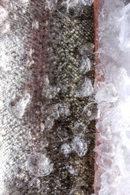 Fresh Raw Fish Piece on Ice. Food Background.
