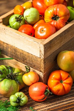 Fresh Ripe Tomatoes in Wooden Box.