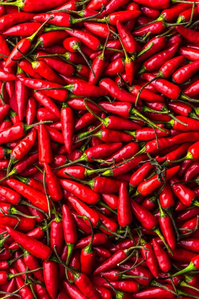 Hot Chili Peppers Background Chilli Texture Closeup View — стоковое фото