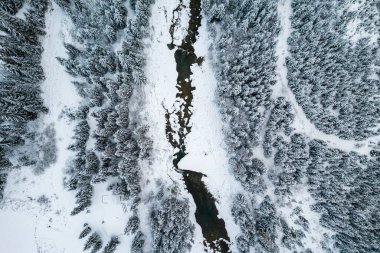 Karlı Orman 'daki Donmuş Nehir. Yukarıdan Aşağı Drone Görünümü.