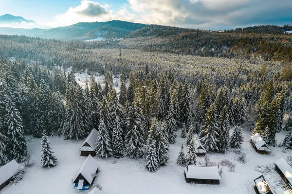 Paisagem Inverno Com Neve Árvores Casas Madeira — Fotografia de Stock