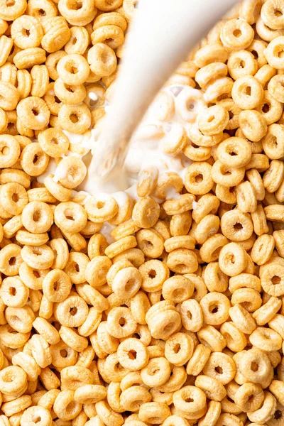 Tahıl gevreği halkalarına süt dökmek.