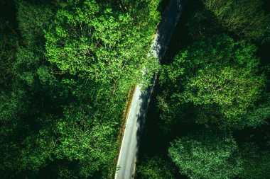 Yeşil Orman Yolu, Drone Manzarası.