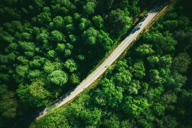 Yeşil Orman Yolu, Drone Manzarası.