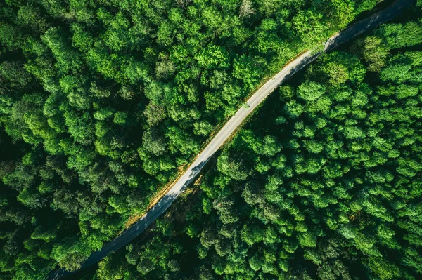 Curvy Road in Forest, Aerial Drone View.