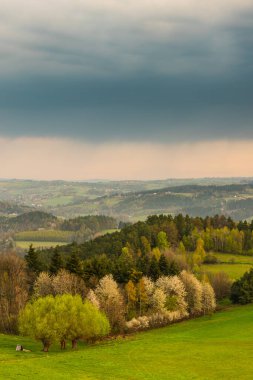 Kırsal bölgede Bahar mevsiminde Renkli Çiçek açan Ağaçlar.