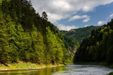 Dunajec Nehri Vadisi Pieniny Ulusal Parkı 'nda İlkbahar, Polonya.