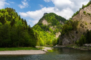 Dunajec Nehri Vadisi Pieniny Ulusal Parkı 'nda İlkbahar, Polonya.