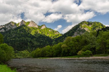 Baharda Polonya 'daki Pieniny Park' ta. Dağlar ve Nehir Manzarası.