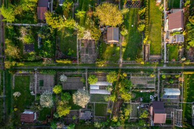 Tarnow, Polonya 'nın Kentsel Alanındaki Renkli Küçük Saha Bahçesi. Yaz bereketli yaprakları. Yukarıdan Aşağı Görünüm Aracı..