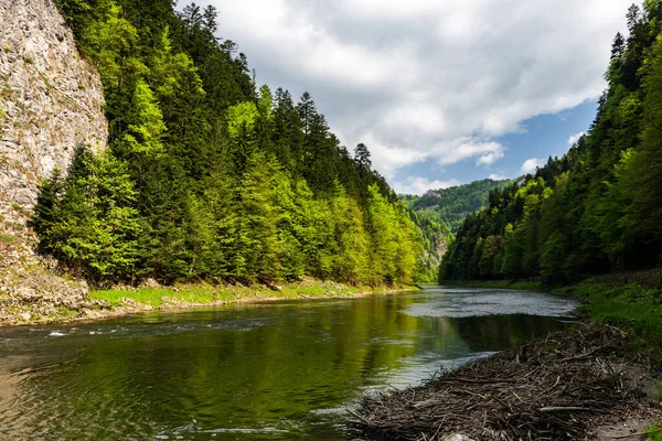 Baharda Polonya 'daki Pieniny Milli Parkı' nda Dunajec Nehri.
