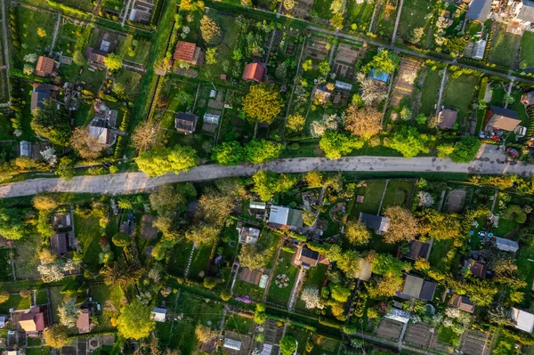 Baharda Kentsel Arazi Bahçeleri. Tarnow Polonya 'daki şehir manzarası. Drone Görünümü.