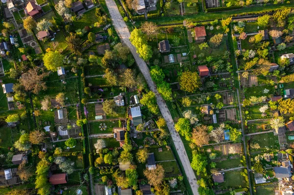 Baharda Kentsel Arazi Bahçeleri. Tarnow Polonya 'daki şehir manzarası. Drone Görünümü.