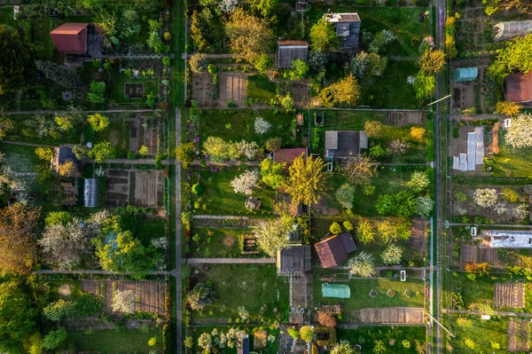 Urban Plot Gardens Spring City Landscape Tarnow Poland Drone View — Stock Photo, Image