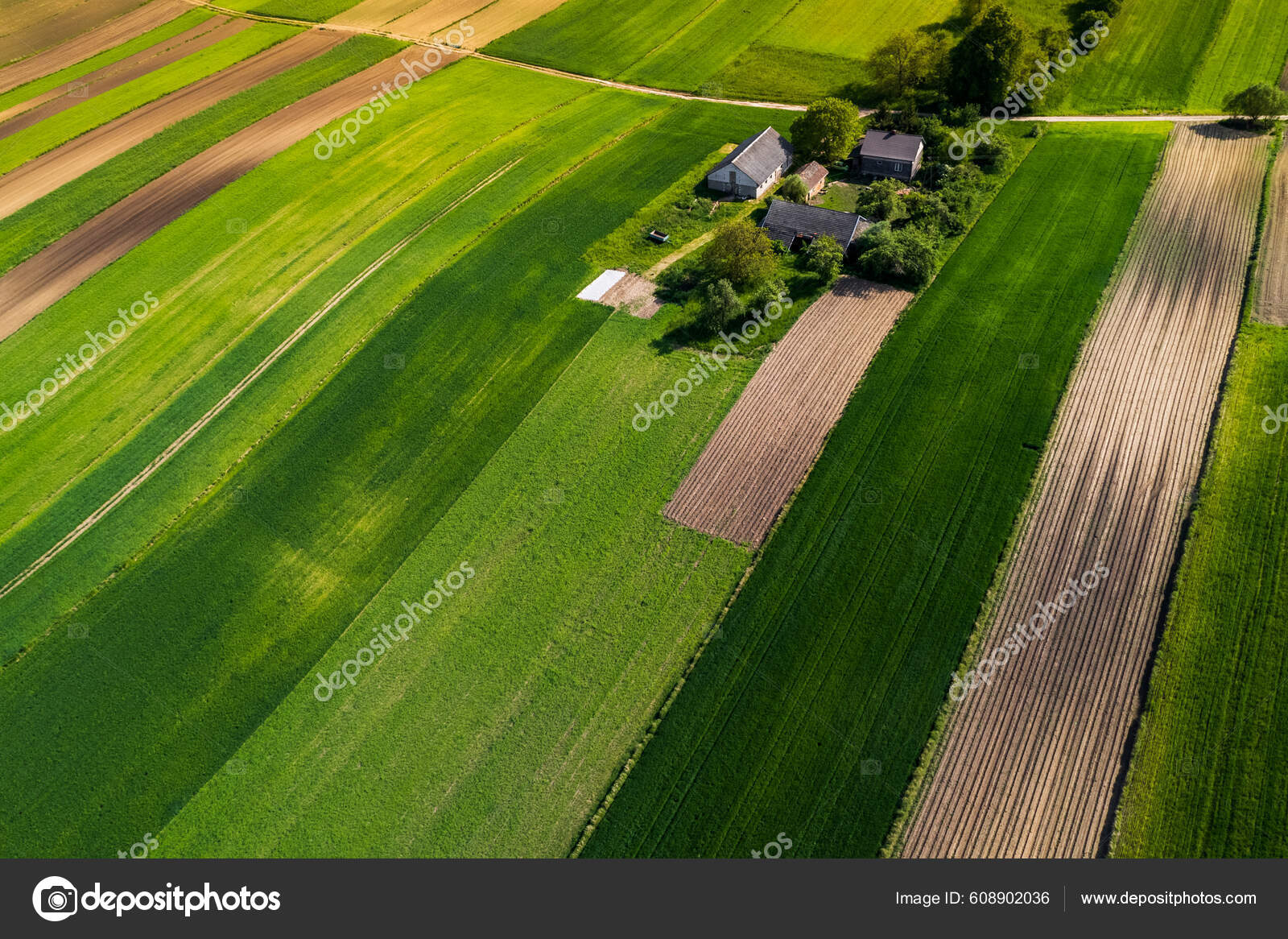 Farmland Green Farm Fields Spring Drone View Stock Photo by