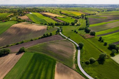 Polonya 'nın kırsal kesimindeki güzel yemyeşil tarlalar. Yukarıdan Drone Görünümü.