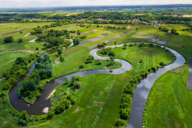 Curvy River Virajları. Nida Polonya 'da. Hava Aracı Görünümü.