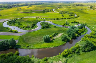Curvy River Virajları. Nida Polonya 'da. Hava Aracı Görünümü.