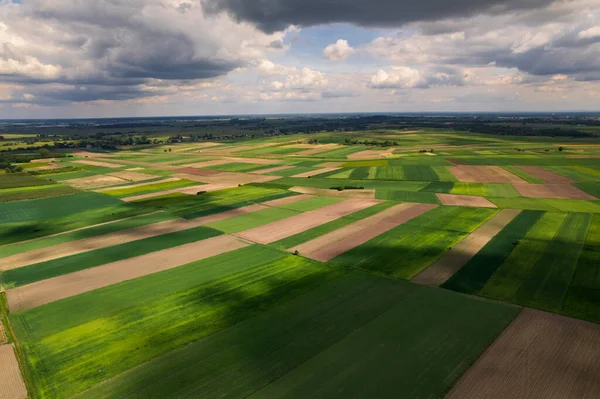 Kleurrijk Boerenland Landbouwlandschap Polen Het Voorjaar Luchtdrone View — Stockfoto