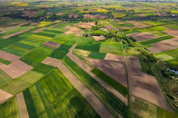 農業分野農村部のパターン 空中ドローンビュー — ストック写真