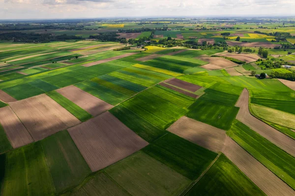 Landbouw Fields Paterns Het Platteland Luchtdrone View — Stockfoto