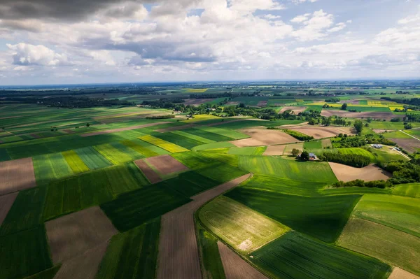Landbouw Fields Paterns Het Platteland Luchtdrone View — Stockfoto