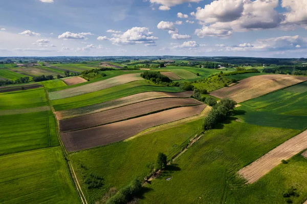 Kleurrijke Weelderige Akkers Landelijke Landschap Luchtdrone View Poolse Landbouwgebieden — Stockfoto