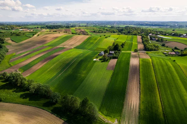 Kleurrijk Boerenland Landbouwlandschap Polen Het Voorjaar Luchtdrone View — Stockfoto