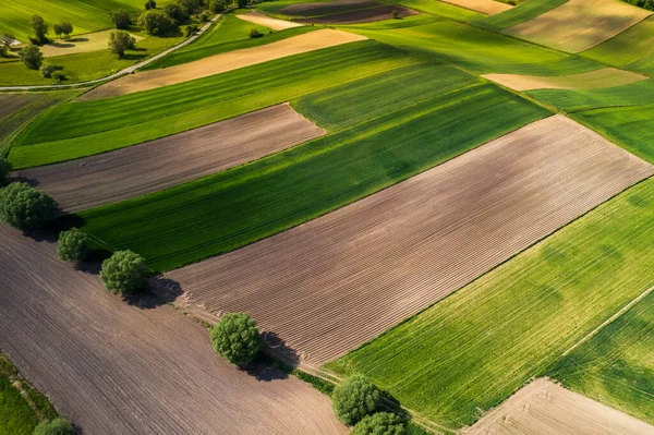 春天的绿色乡村风景 无人机空中视图 波兰农场 — 图库照片