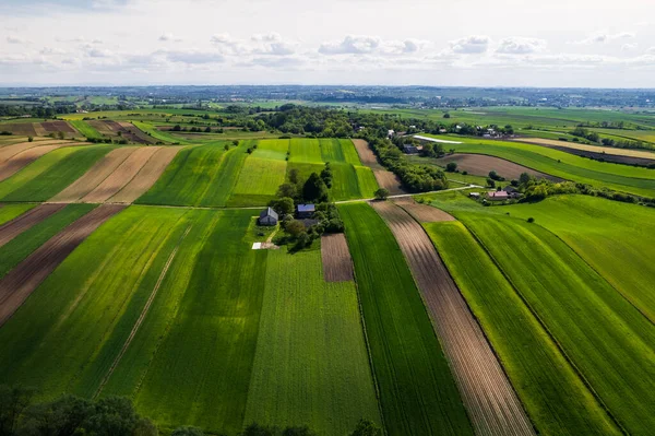 Kleurrijke Weelderige Akkers Landelijke Landschap Luchtdrone View Poolse Landbouwgebieden — Stockfoto