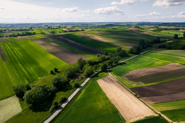 Kleurrijke Landelijke Landschap Het Voorjaar Landbouw Crop Pattern Drone View — Stockfoto