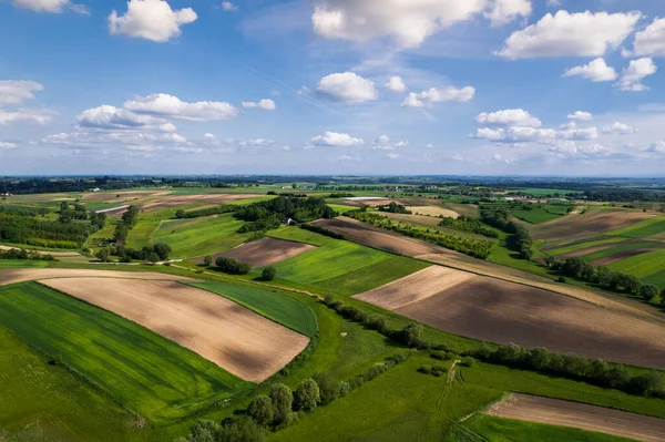 波兰乡村美丽的郁郁葱葱的农田 从上方看Drone视图 — 图库照片