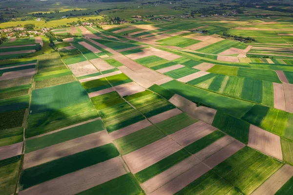 Όμορφη Lush Farm Fields Στην Εξοχή Πολωνία Προβολή Drone Από — Φωτογραφία Αρχείου