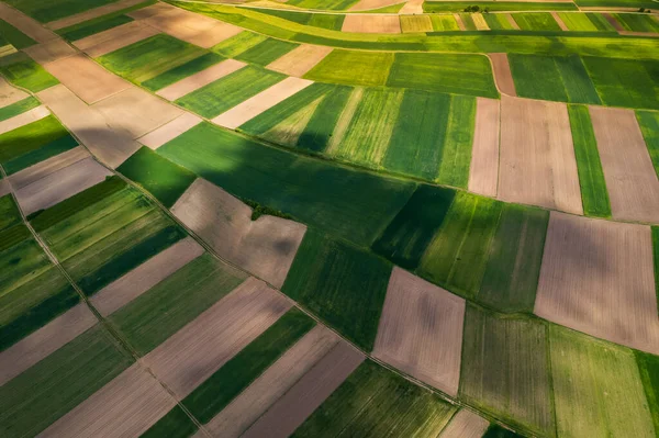 Färgglada Landsbygden Landskap Våren Jordbruk Gröda Mönster Drone View — Stockfoto