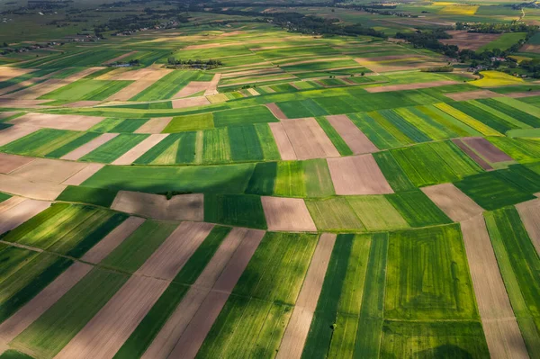 Paysage Rural Coloré Printemps Agriculture Crop Pattern Drone Vue — Photo