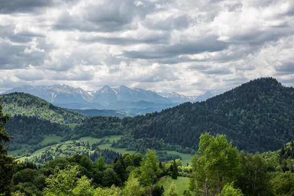 Panoramatický Výhled Pohoří Pieniny Vysoké Tatry Palenice Szczawnici Polsko — Stock fotografie