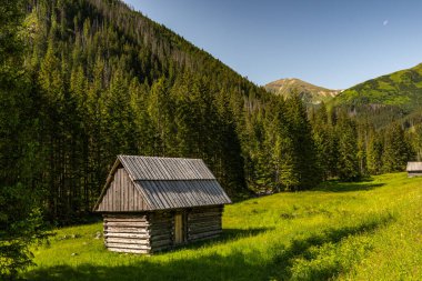 Polonya 'daki Tatra Ulusal Parkı' ndaki Chocholowka Vadisi 'ndeki kulübe Zakopane yakınlarında..