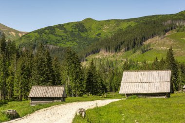 Polonya 'daki Tatra Ulusal Parkı' ndaki Chocholowka Vadisi 'ndeki kulübe Zakopane yakınlarında..