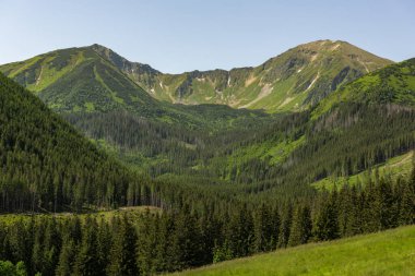 Polonya 'daki Tatra Ulusal Parkı' ndaki Chocholowka Vadisi 'ndeki manzara Zakopane yakınlarında..