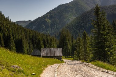 Polonya 'daki Tatra Ulusal Parkı' ndaki Chocholowka Vadisi 'ndeki kulübe Zakopane yakınlarında..