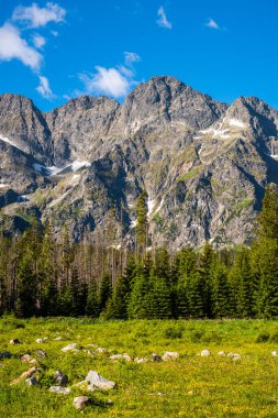 Yaz mevsiminde Tatra Ulusal Parkı 'ndaki dağların zirveleri Polonya' da. Alp manzarası ve mavi gökyüzü.
