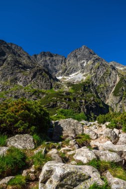 Yaz mevsiminde Tatra Ulusal Parkı 'ndaki dağların zirveleri Polonya' da. Alp manzarası ve mavi gökyüzü.
