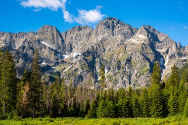Yazın Tatra Dağları Ulusal Parkı. Polonya, Zakopane yakınlarında..
