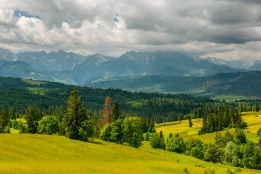 Tatra Dağları manzarası, yazın yemyeşil çayırlar ve ağaçlar..